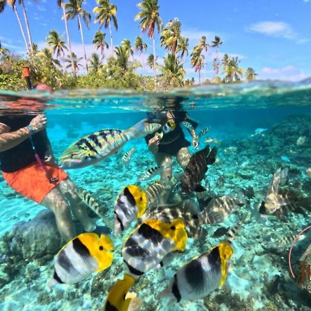 Tevaitoa Hutiarii House & Car & Excursions Raiatea 빌라 외부 사진