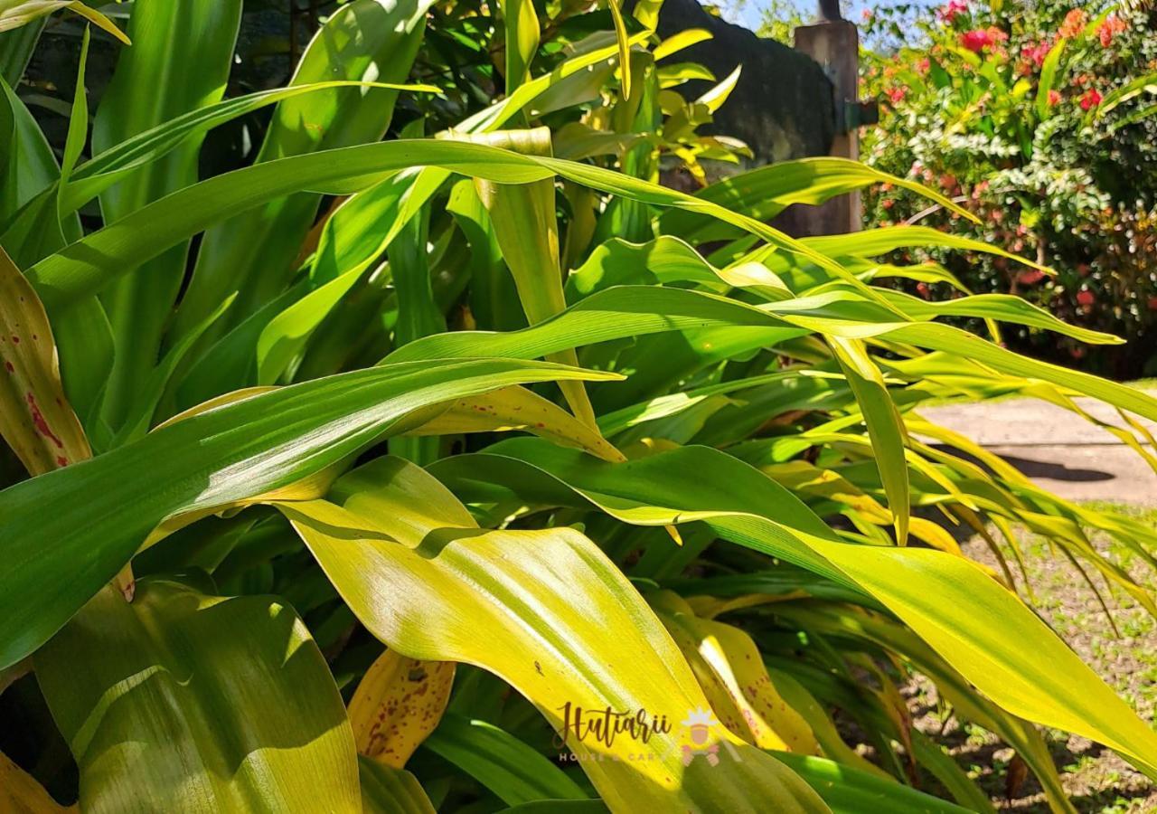 Tevaitoa Hutiarii House & Car & Excursions Raiatea 빌라 외부 사진