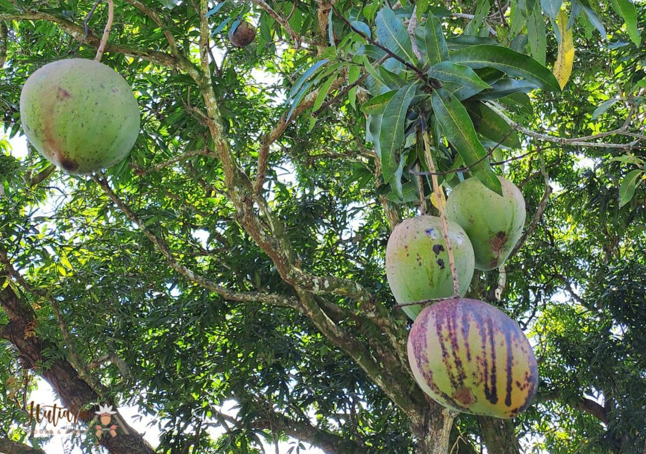 Tevaitoa Hutiarii House & Car & Excursions Raiatea 빌라 외부 사진